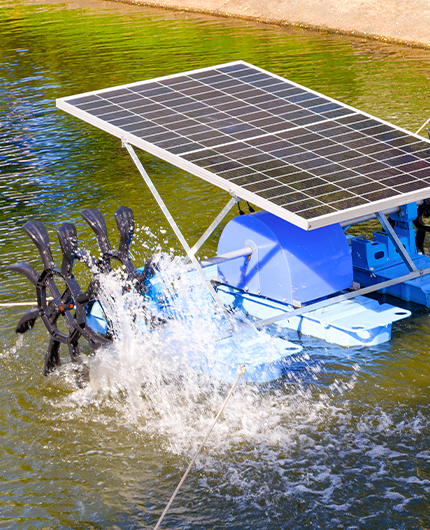 Solar Pumps for Aquaculture  & River Maintenance