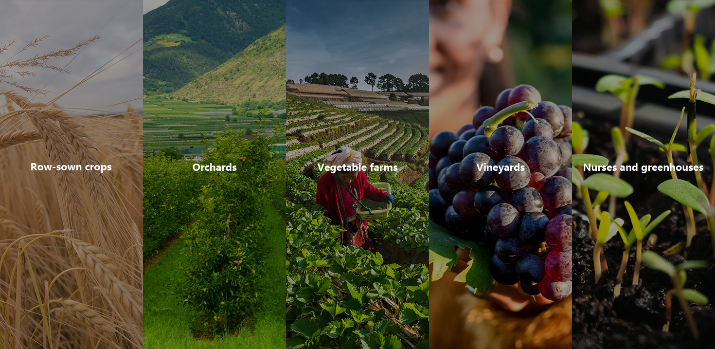 Solar Water Pump for  Irrigation