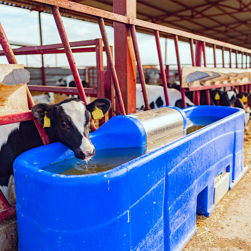How do Deye solar water pumps and controllers improve livestock production efficiency?
