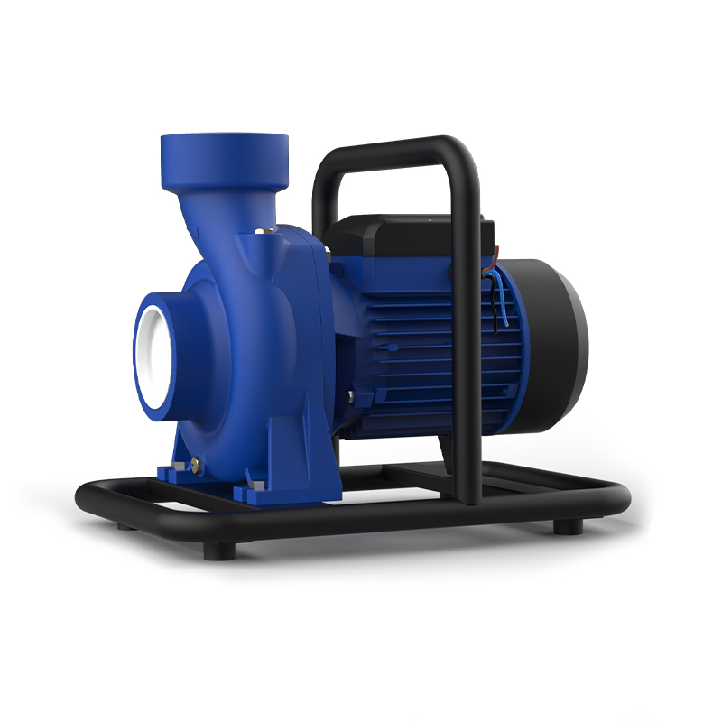 Self-Priming Surface Solar Pump with Automatic Solar Switching AC/DC Pump Controller (2000-3600W) Centrifugal Surface Solar Pump
