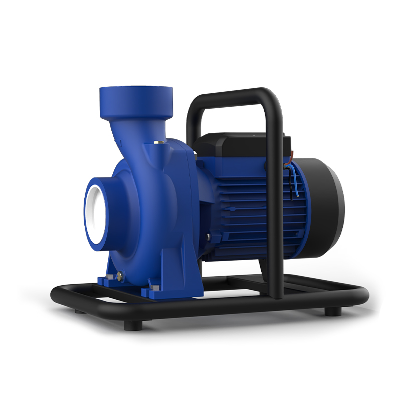 Self-Priming Surface Solar Pump with Automatic Solar Switching AC/DC Pump Controller (2000-3600W) Centrifugal Surface Solar Pump