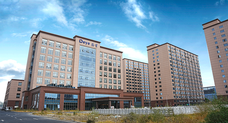 Zhejiang Deye Electrical Appliances Co., Ltd.